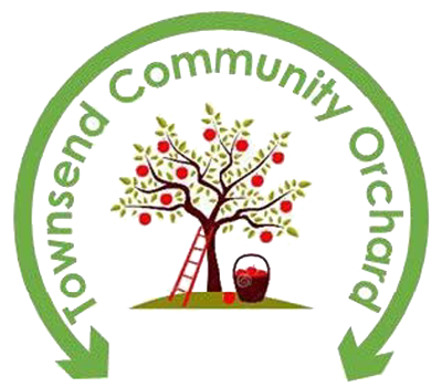 townsend community orchard logo featuring an apple tree