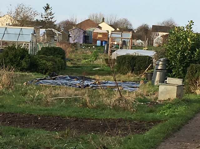 view of allotment plots