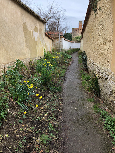 dragons tail footpath with flowers on verge and witchert wall