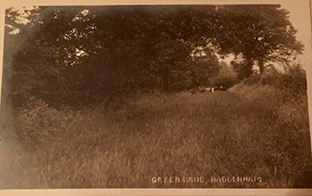 Historic photo of Green Lane pre-1914