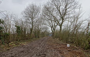 Green Lane from Dinton Corner, during clearing work