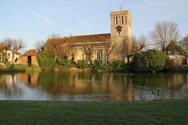 ducks at Church End Pond with St Mary's Church in the background 