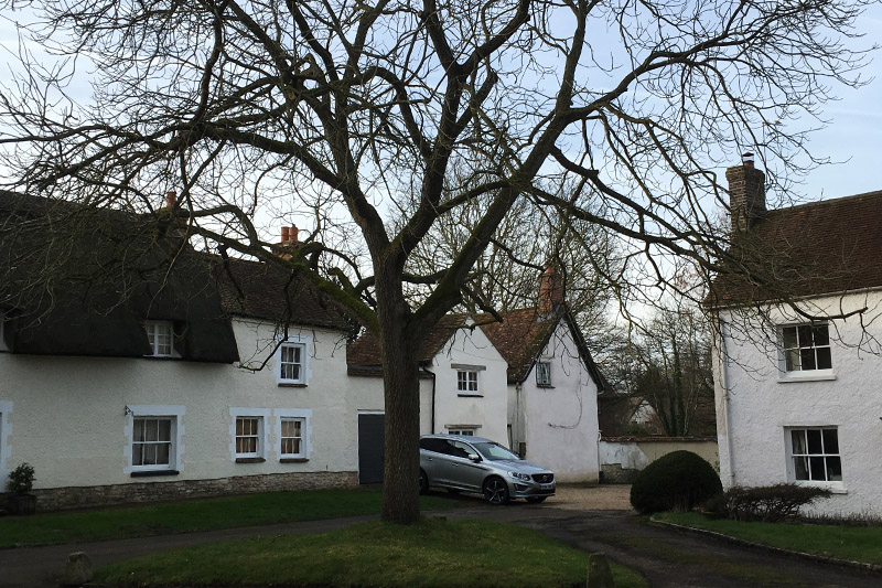 View of large tree on Skittles Green with house behind