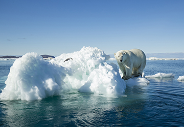 Climate Emergency