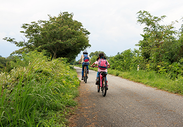 Cycleway Survey