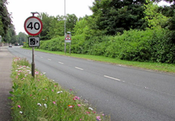 Speed Limit Consultation
