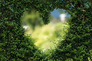 Heart of Bucks Grants Available