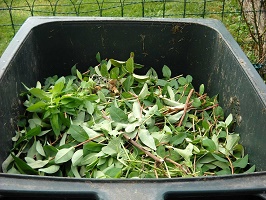 Green Waste and Household Recycling Centre Update