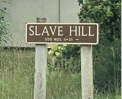 Results of Slave Hill Consultation
