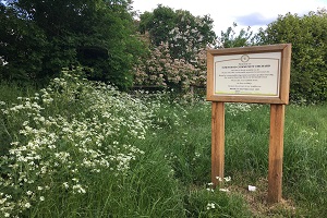 Townsend Community Orchard wins prize