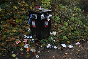 Great British Spring Clean