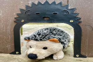 Hedgehog Highways