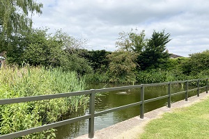 Banks Pond Railings