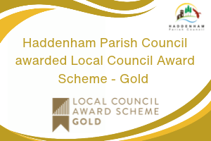 Local Council Award Scheme - GOLD